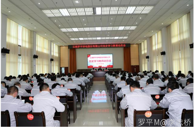 云博（中国）体育官方网站召开党史学习教育动员会